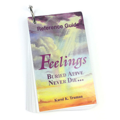 feelings guide