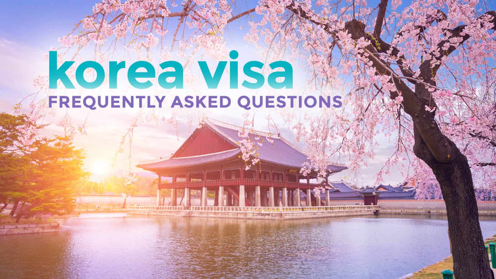 korea visa application new zealand