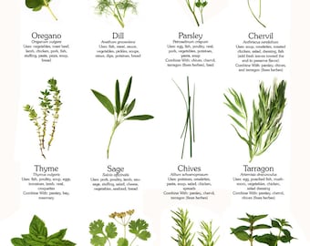 herbal medicine books pdf